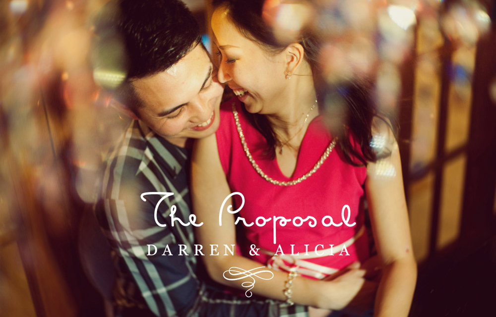 The Marriage Proposal // Darren + Alicia